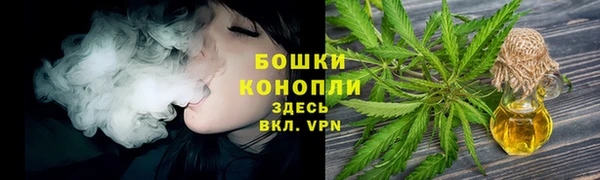 гидра Лихославль