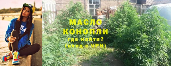дмт Лиски