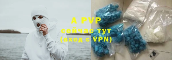 ПСИЛОЦИБИНОВЫЕ ГРИБЫ Липки