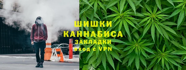 дмт Лиски