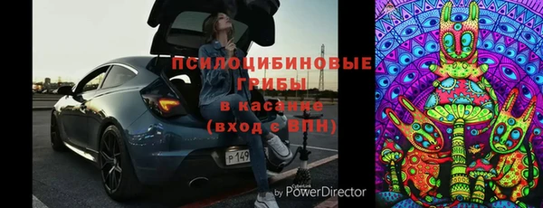 гидра Лихославль