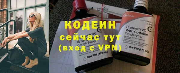 дмт Лиски