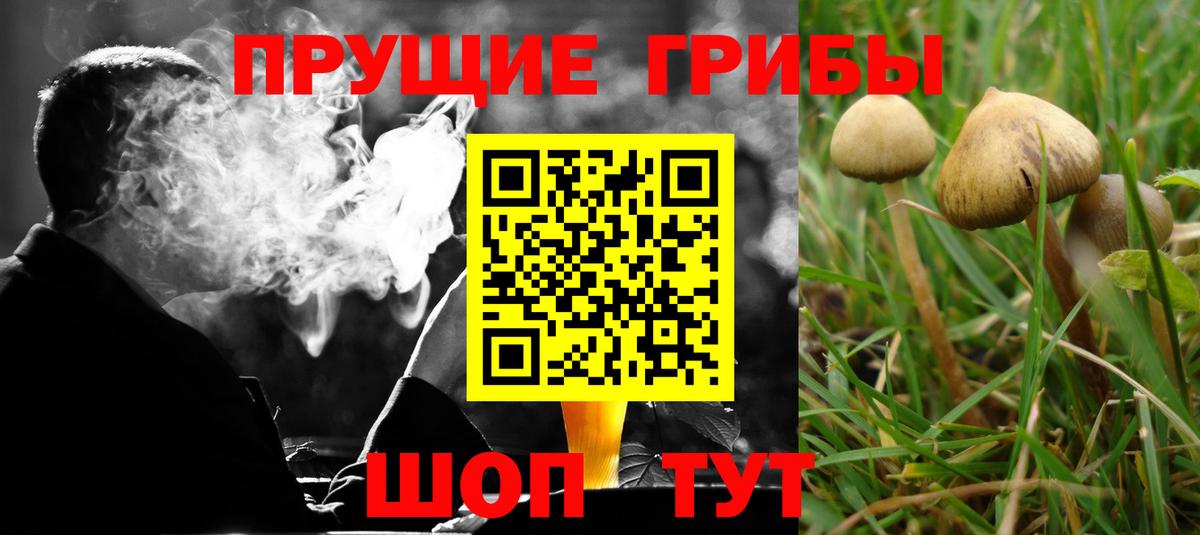 Псилоцибиновые грибы мухоморы Усть-Джегута